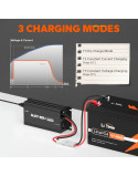 Ładowarka LiTime 12V (14.6V) 40A L12V40A-BCHA-Y