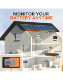 Monitor baterii Litime 500A z bocznikiem pomiarowym L-MONITOR500A-B