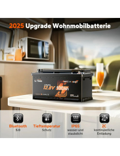 Akumulator LiTime 12V 100Ah 200A H190 Bluetooth mata grzewcza L12V100-200-H190-MHBT-4-AC150-DE