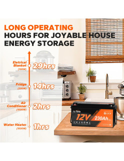 Akumulator LiTime 12V 230Ah Low Temp L12V230-200-LTCP-4-A150